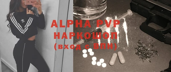 ПСИЛОЦИБИНОВЫЕ ГРИБЫ Белоозёрский