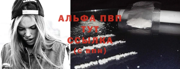 прущие грибы Белокуриха