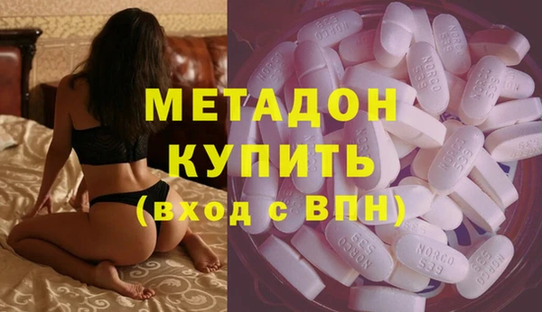 прущие грибы Белокуриха