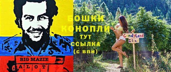 ПСИЛОЦИБИНОВЫЕ ГРИБЫ Белоозёрский