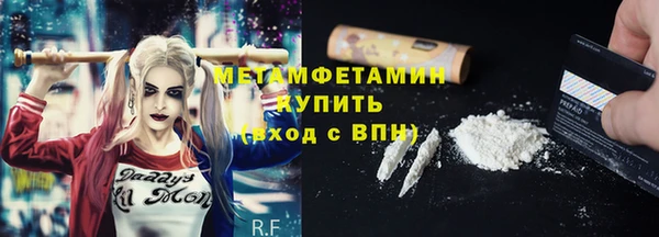 прущие грибы Белокуриха